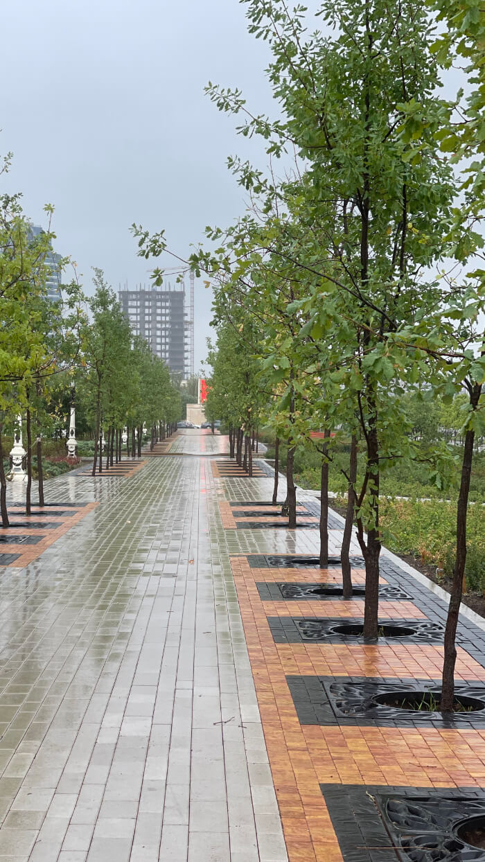 Приствольная решетка для дерева ZKING CRUST 1.2х1.2м Черная в Нижнем Новгороде фото