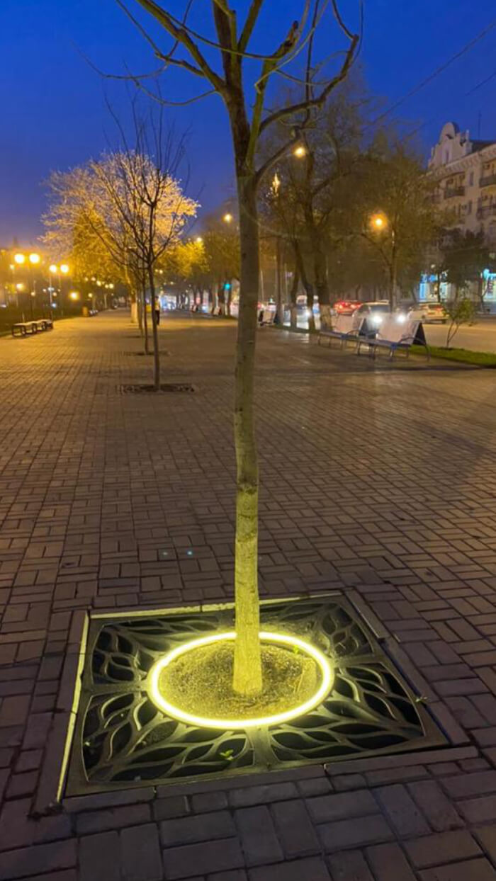 Приствольная решетка для дерева ZKING CRUST 1.2х1.2м Черная в Нижнем Новгороде фото